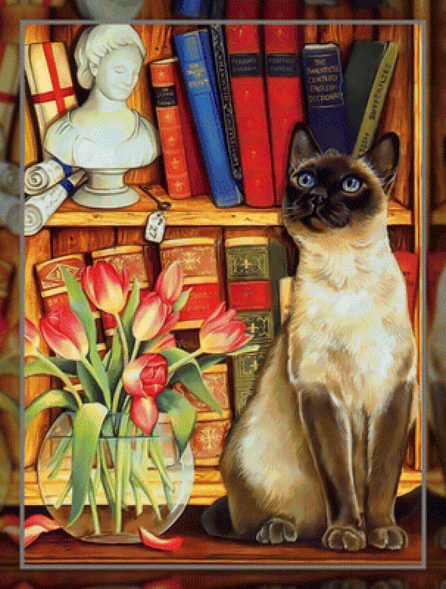 В библиотеке. - кошка библиотека книги - предпросмотр