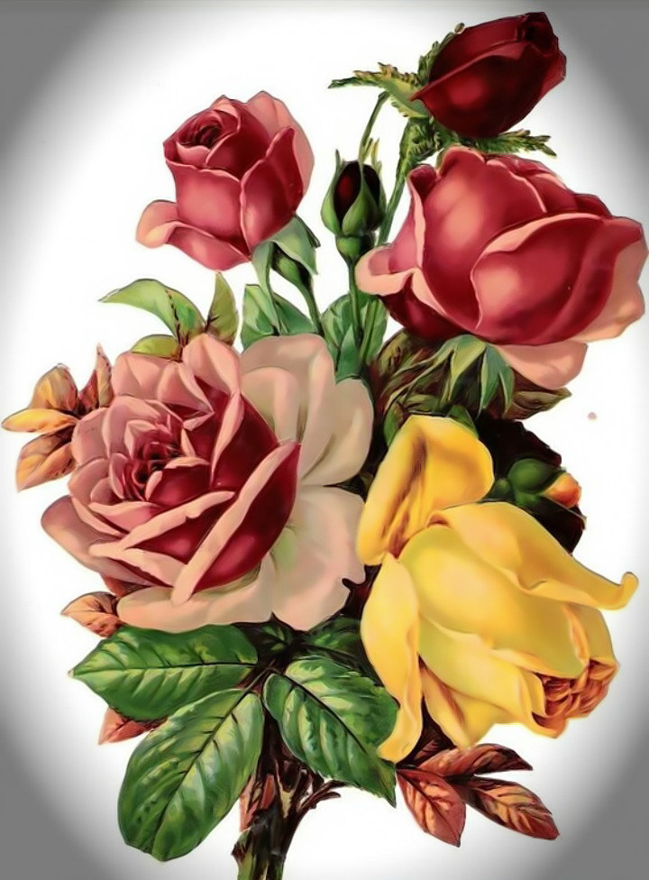 Розы букет - розы цветы - оригинал