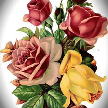Оригинал схемы вышивки «Розы букет» (№1933309)