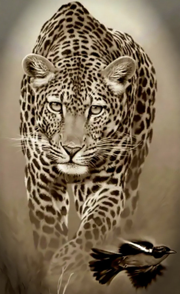 Леопард - леопард хищник взгляд - оригинал