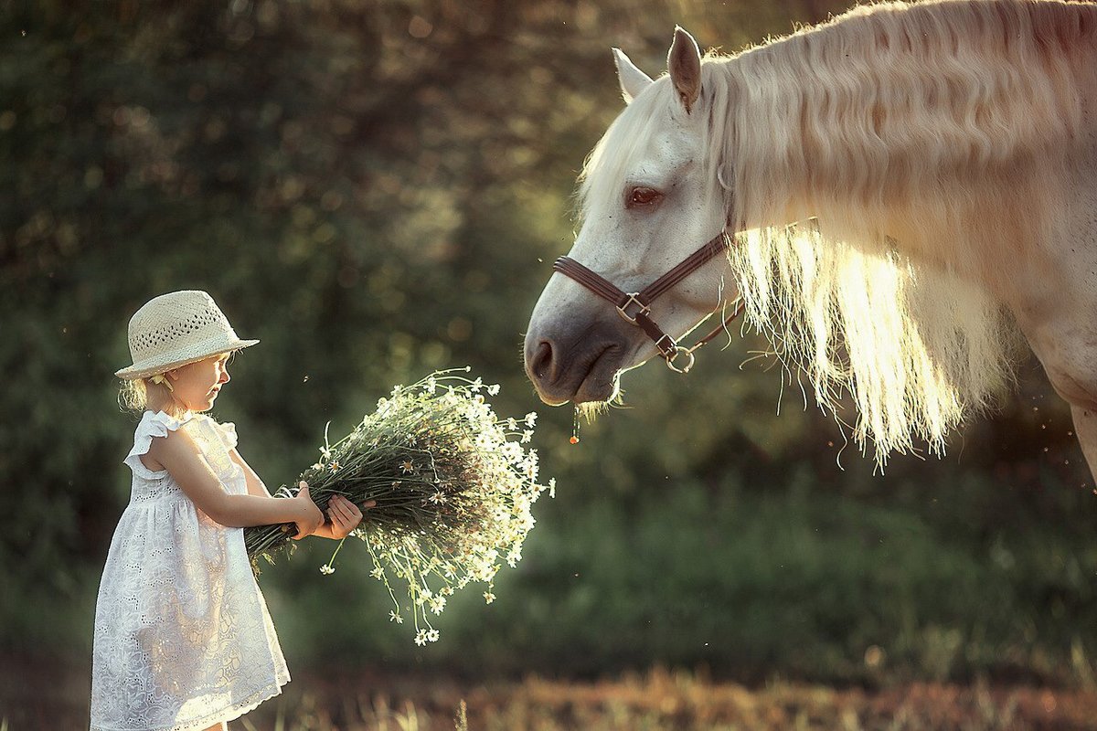Девочка и лошадь - девочка, дети, лошадь - оригинал