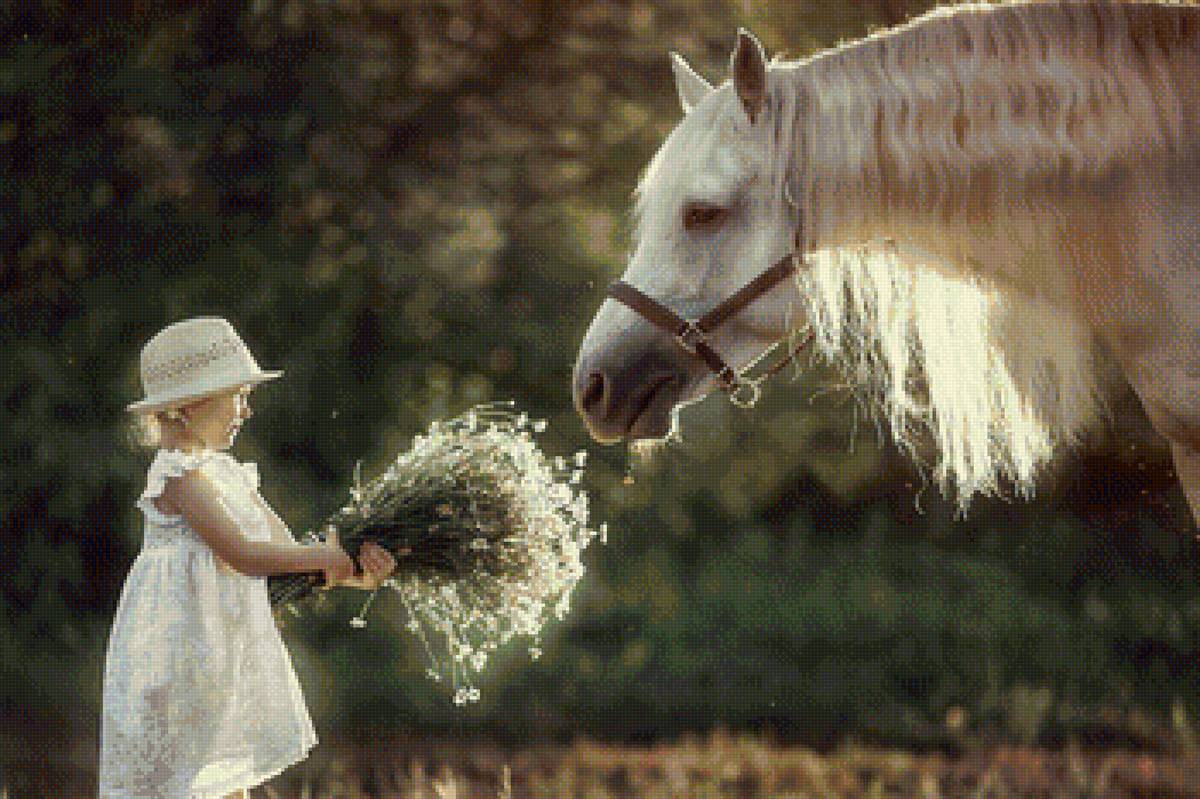 Девочка и лошадь - дети, девочка, лошадь - предпросмотр