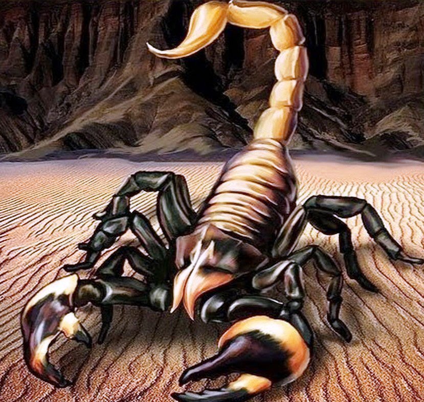 Скорпион - арт, скорпион - оригинал
