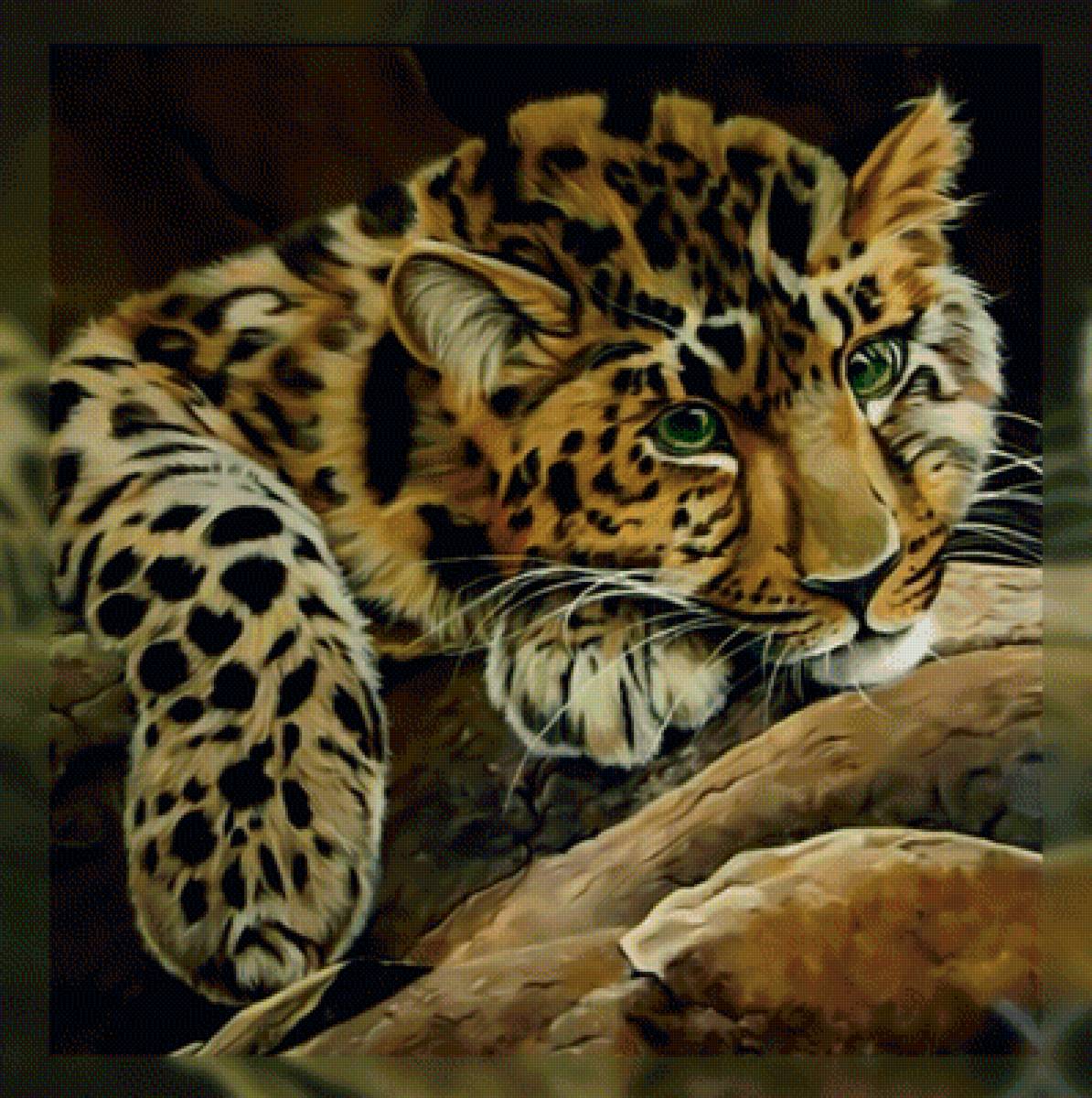 Лео. - леопард хищник взгляд - предпросмотр