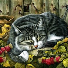 Схема вышивки «Cat Sleeping with Strawberrys.»