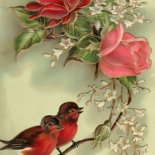 Птички на розе.