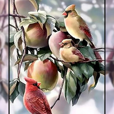 Птицы на яблоне.