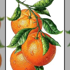 Схема вышивки «Апельсины.»
