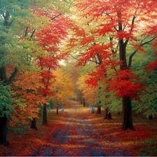 Схема вышивки «Autumn Colors.»