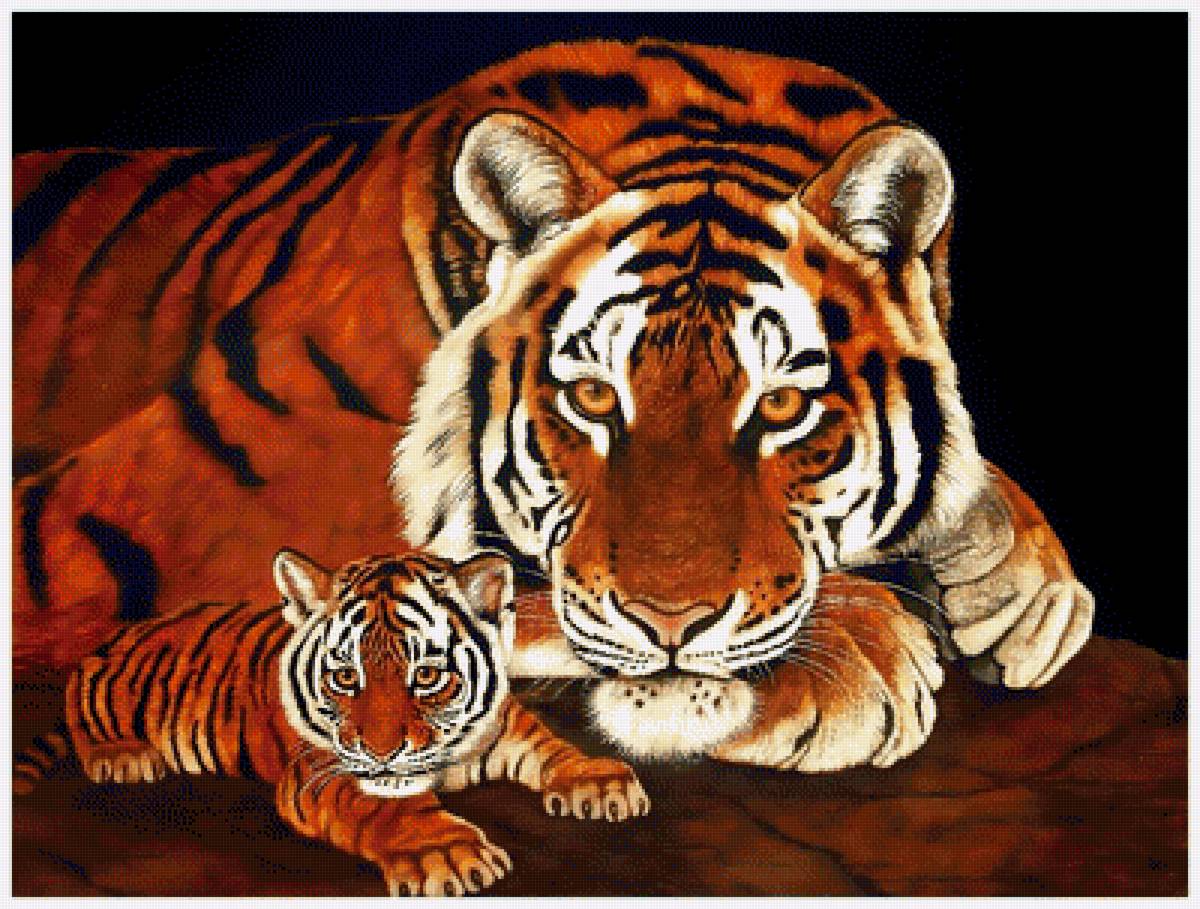 №1937837 - хищники, тигр, тигры, животные - предпросмотр