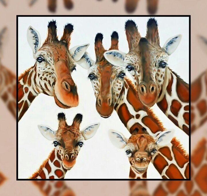 Жирафы2. - животные, африка, жирафы. - оригинал