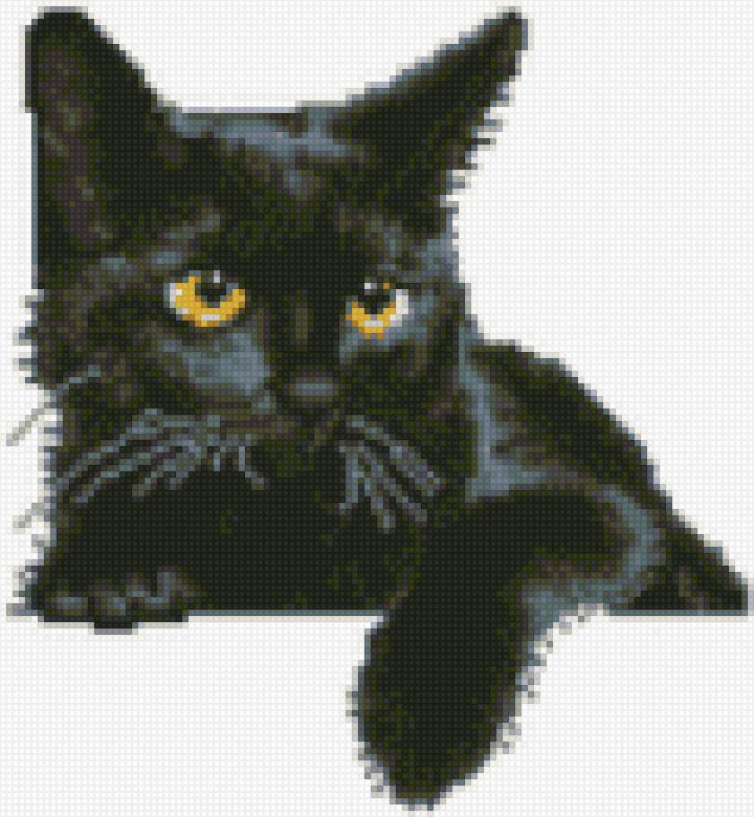Черный кот3 - кот, черный - предпросмотр