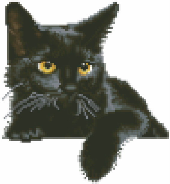 Черный кот4 - черный, кот - оригинал