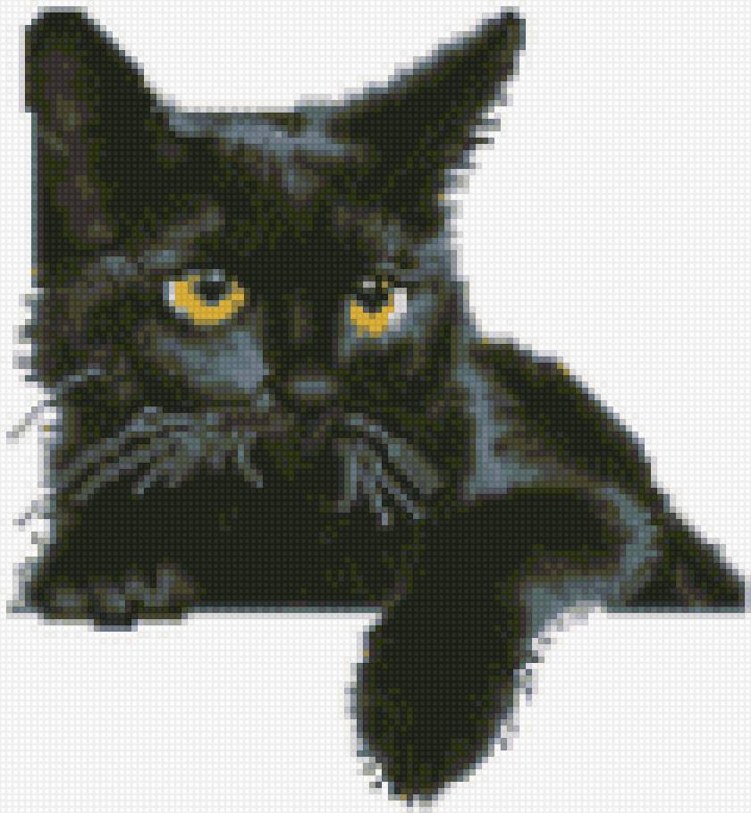 Черный кот4 - черный, кот - предпросмотр
