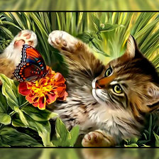 Оригинал схемы вышивки «Котик и бабочка.» (№1941929)