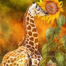 жираф с подсолнухом