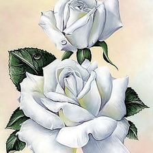 Оригинал схемы вышивки «Белая роза.» (№1943497)