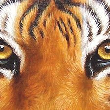 Схема вышивки «глаза тигра»