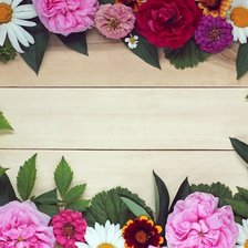 Яркие цветочки на деревянном столе