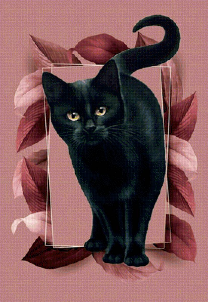 Черный котик. - черный, кот. - предпросмотр