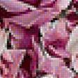 Предпросмотр схемы вышивки «Розы и лилии.» (№1947653)