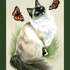 Схема вышивки «Кошечка с бабочками.»