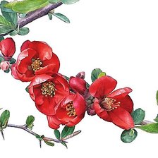 Оригинал схемы вышивки «цветы» (№1948462)