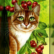 Кот и вишни.