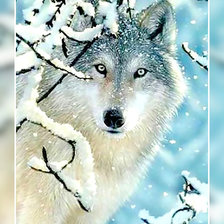 Оригинал схемы вышивки «Волк в зимнем лесу.» (№1948512)