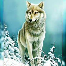 Оригинал схемы вышивки «Волк в зимнем лесу2.» (№1949577)