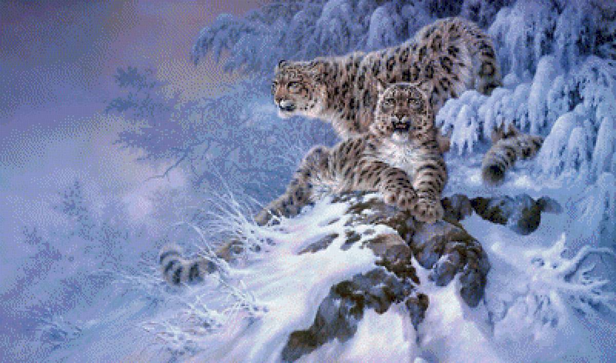 снежные барсы - зима, кошки, снег, снежный барс, горы, звери, животные - предпросмотр