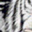 Предпросмотр схемы вышивки «белые тигры» (№1950059)