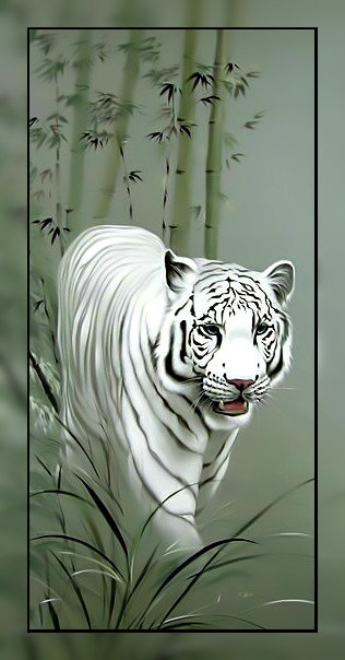 Белый тигр. - хищник., тигр, белый - оригинал