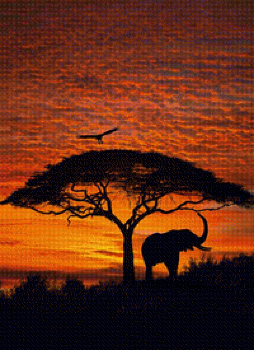 Африка - саванна, африка, слон, закат - предпросмотр