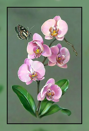 Орхидея. - цветок, бабочка., орхидея - оригинал