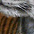 Предпросмотр схемы вышивки «тигр» (№1953547)