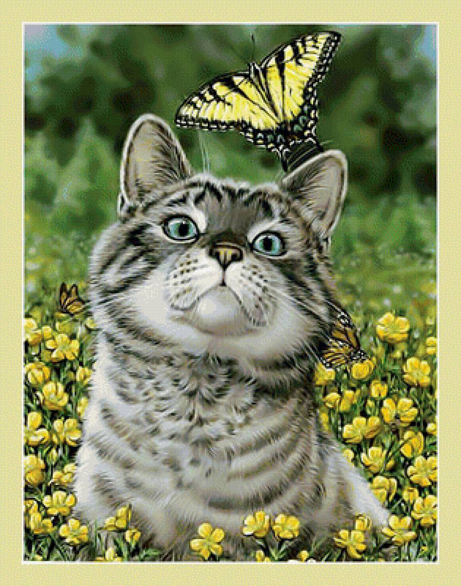 Котик и бабочка. - луг, кот, бабочка., цветы - предпросмотр