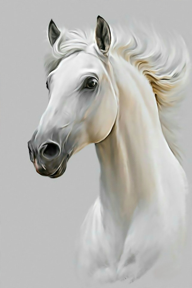 Белая лошадь. - лошадь, конь., белая - оригинал