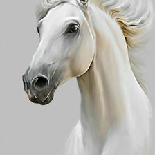Белая лошадь.