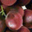 Предпросмотр схемы вышивки «Виноградная гроздь.» (№1955422)