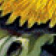 Предпросмотр схемы вышивки «Жёлтые хризантемы.» (№1957044)