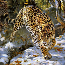 Леопард с котятами2.