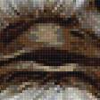 Предпросмотр схемы вышивки «страус» (№1959029)