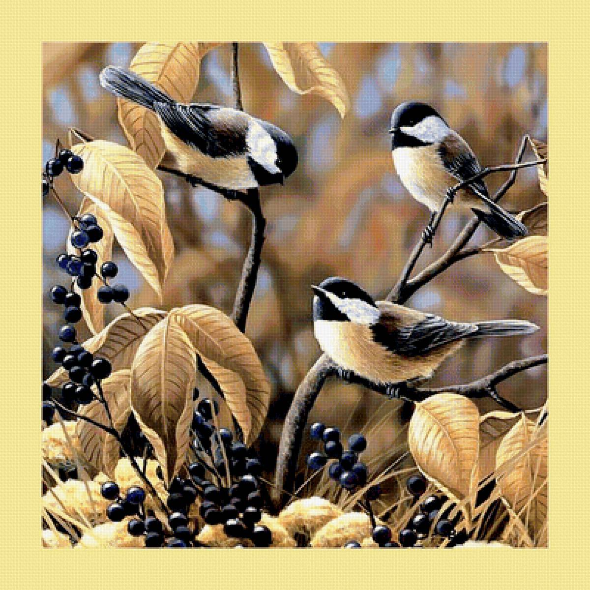 Серия "Птицы" - птицы, фауна - предпросмотр
