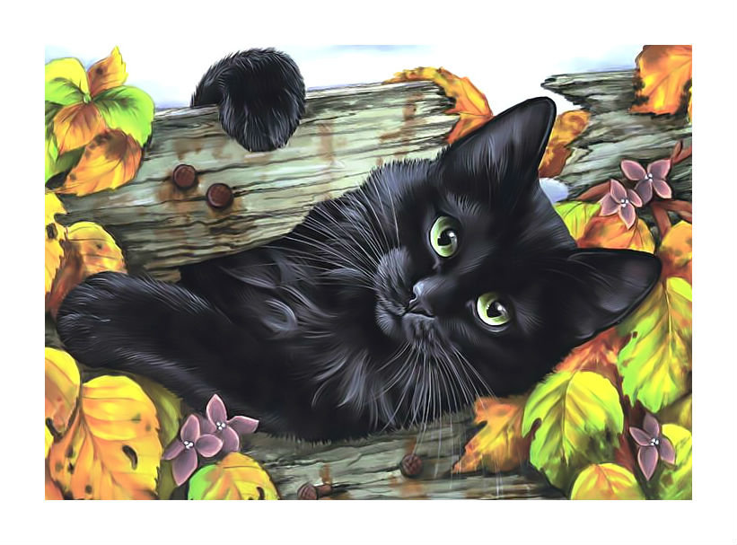 Котик. - черный, кот, листья, осень. - оригинал
