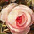 Предпросмотр схемы вышивки «Серия "Букет". Розы» (№1962060)