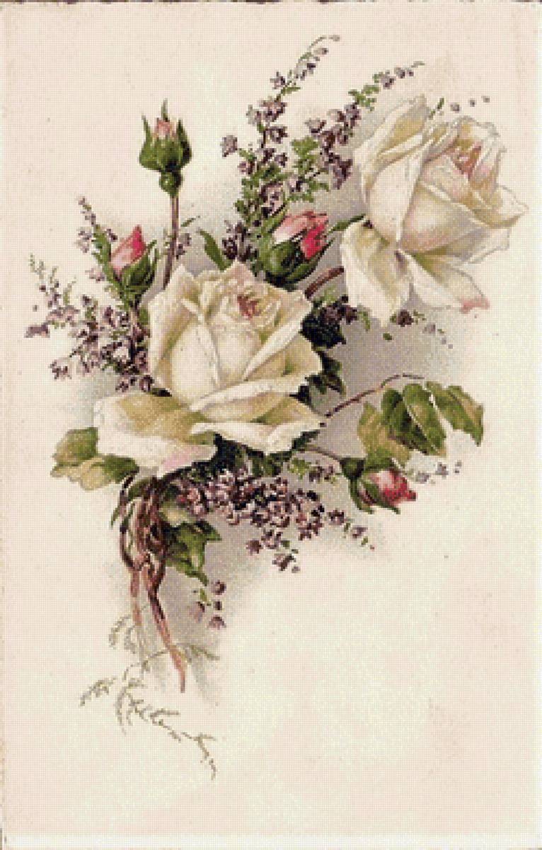 biele ruže - предпросмотр