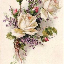 Оригинал схемы вышивки «biele ruže» (№1963815)