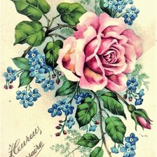 Оригинал схемы вышивки «kvety» (№1964263)