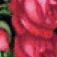 Предпросмотр схемы вышивки «ruže,váza» (№1964459)